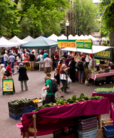 Wide Shot of the Farmer's Market